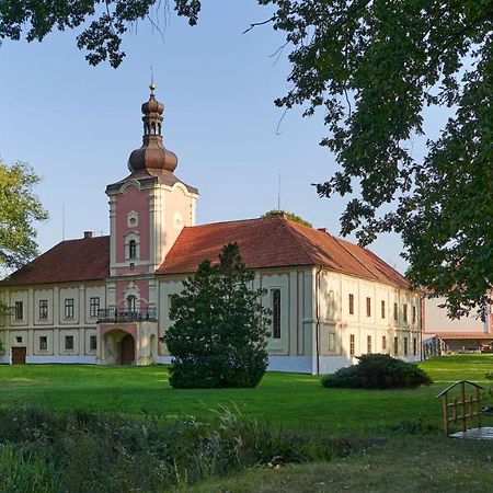Penzion Zamek Lesany Netvořice Dış mekan fotoğraf